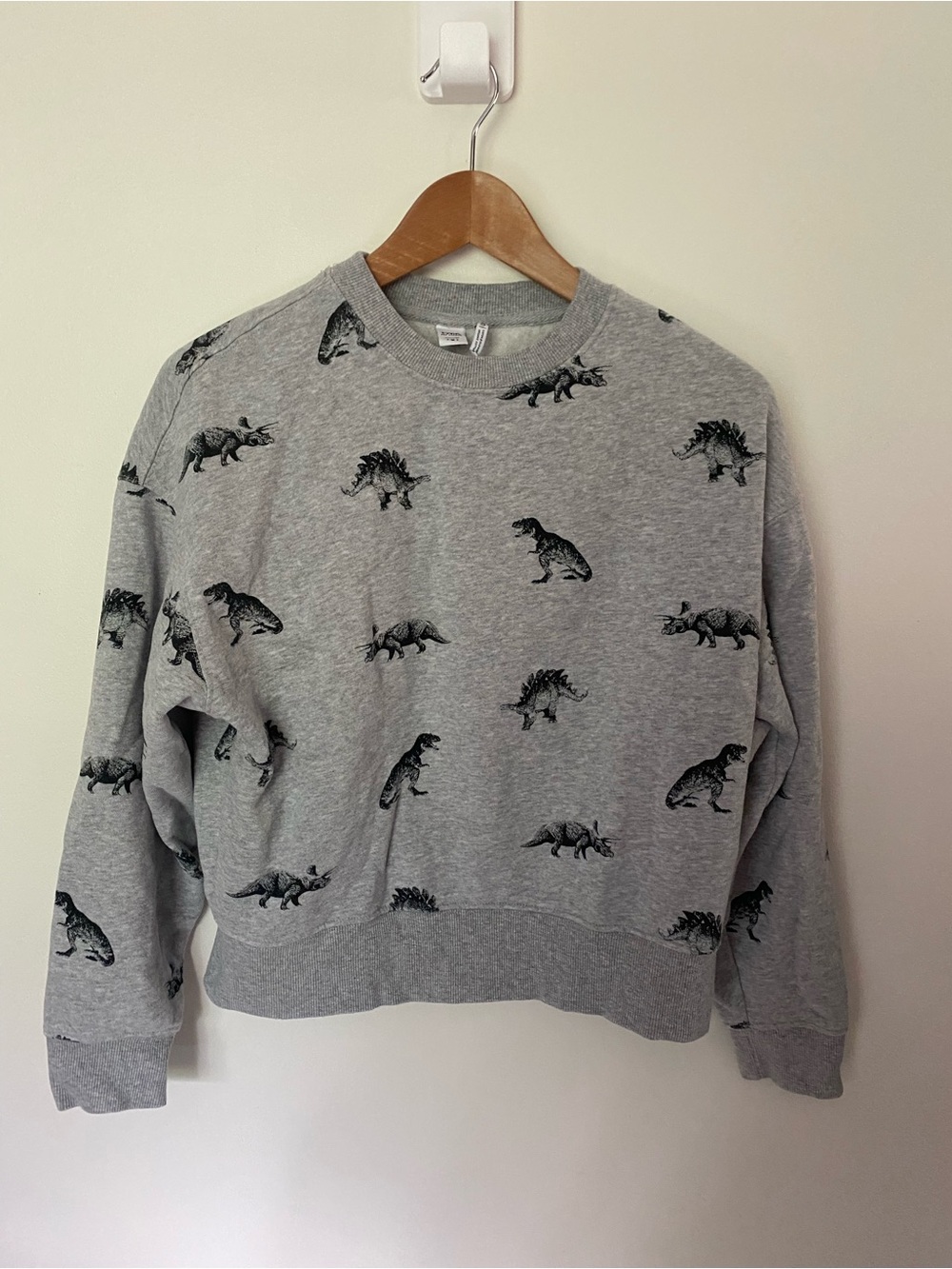 Twik Organic Dino Sweatshirt